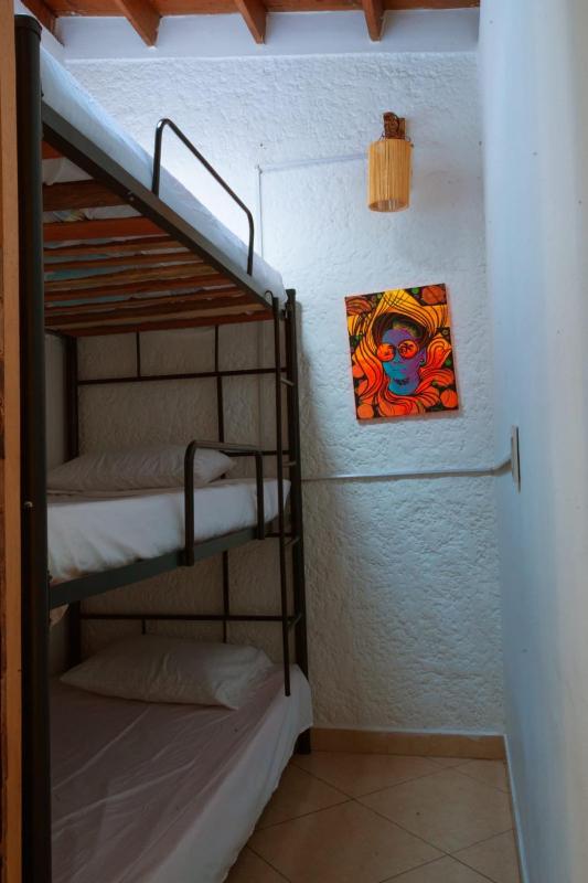 Jungle House Medellin - image 8