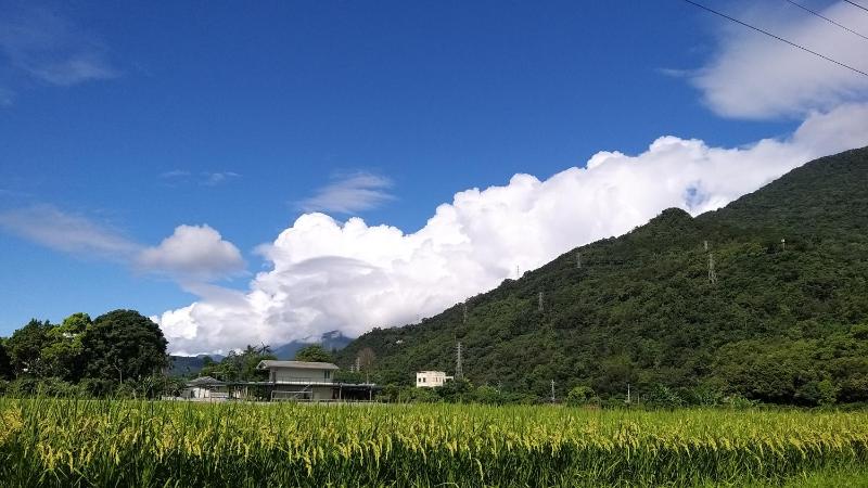Futian B&B - image 18