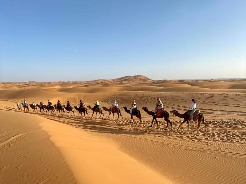 Typical Luxury Desert Camp - Camel Trekking & Desert Activities - image 25