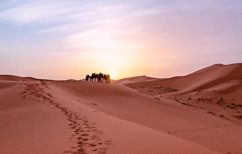 Typical Luxury Desert Camp - Camel Trekking & Desert Activities - image 10