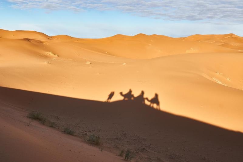 Typical Luxury Desert Camp - Camel Trekking & Desert Activities - image 44