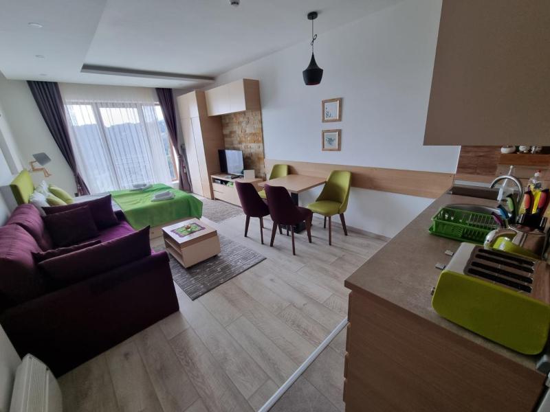 Kopaonik Milmari resort Apartman Duga - image 15