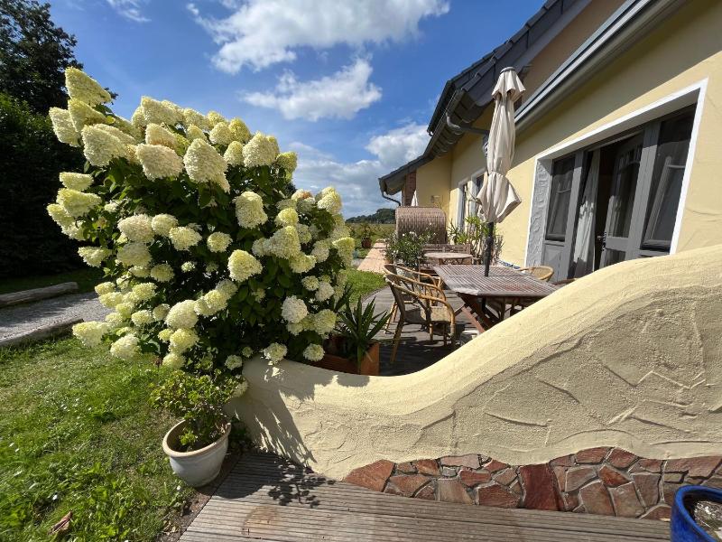 Ferienwohnungen am Selliner See mit Terrassen - image 19