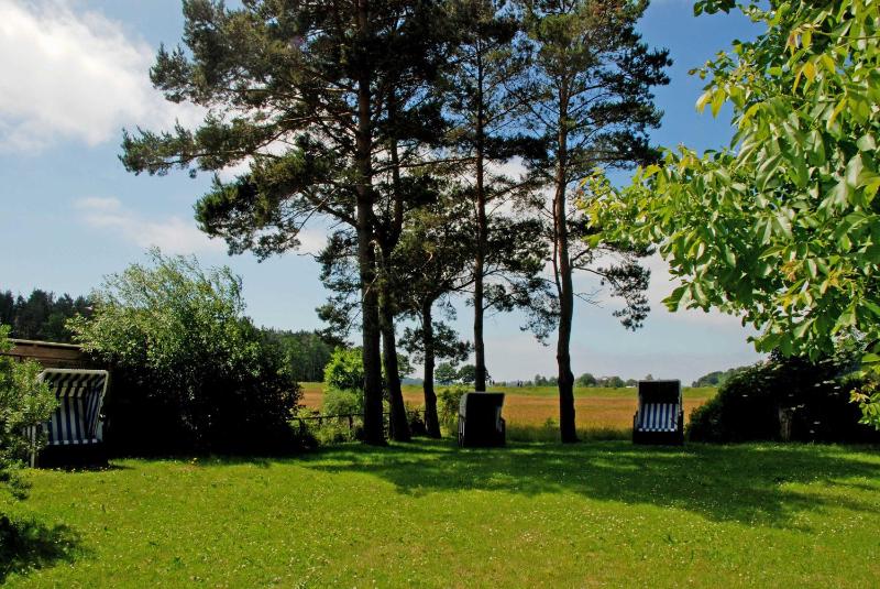 Ferienwohnungen am Selliner See mit Terrassen - image 38