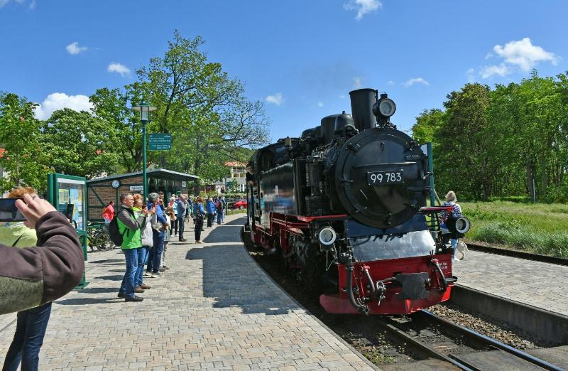 Ferienwohnungen am Selliner See mit Terrassen - image 23