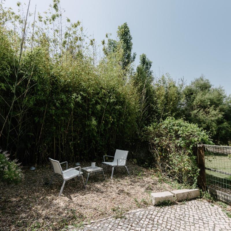 Quinta Do Miguel - image 2