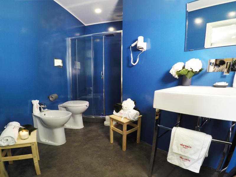 Deluxe Single Room image 3