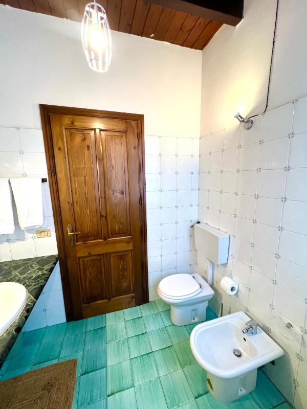 Mandarhouse Dante - image 3