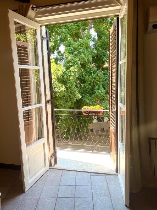 Mandarhouse Dante - image 8