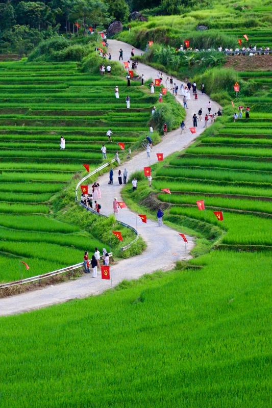 Hiếu Hương Homestay - image 9