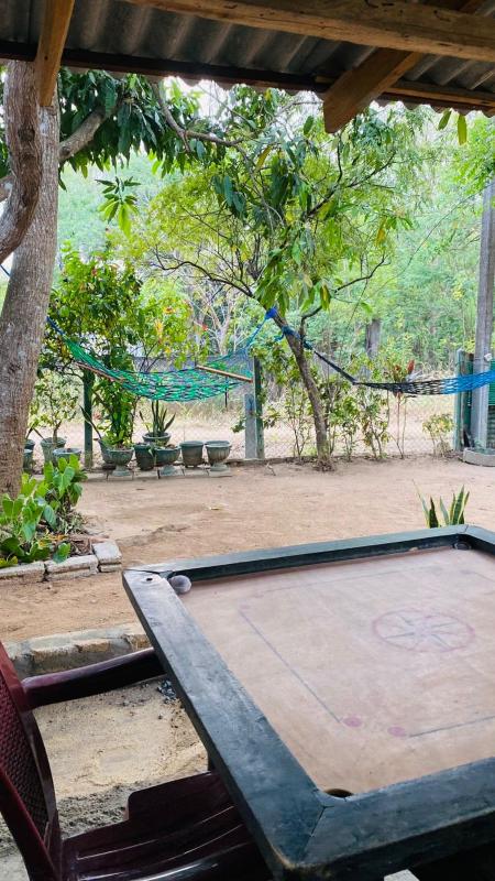 Night Owl Hostel Sigiriya - image 6