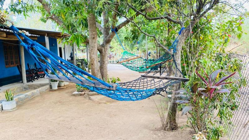 Night Owl Hostel Sigiriya - image 11