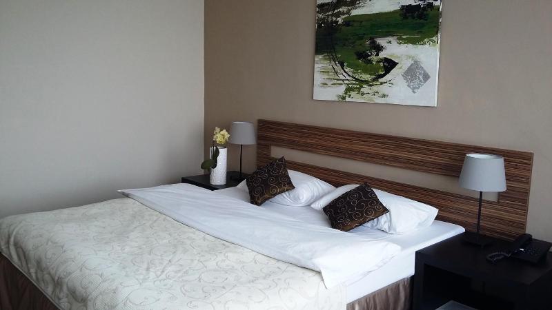 Superior Twin/Double Room  image 3