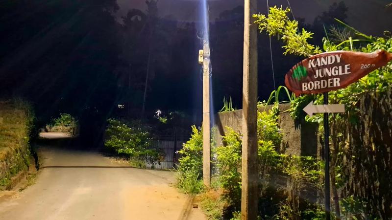 Kandy Jungle Border - image 8