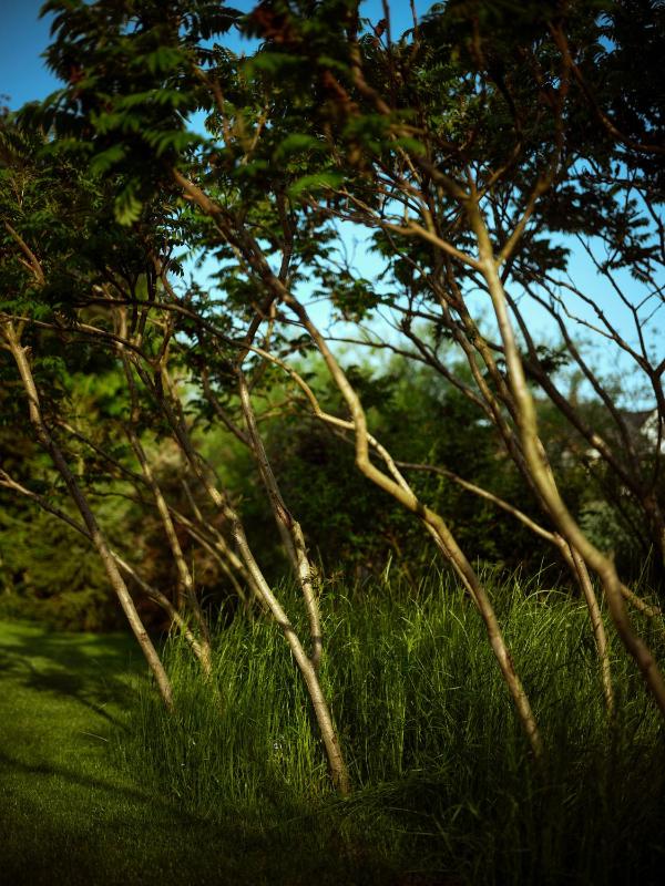 SKARPA resort - image 17