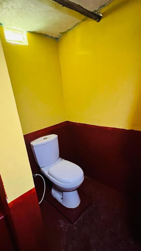Hakuna Matata Hostel - image 16