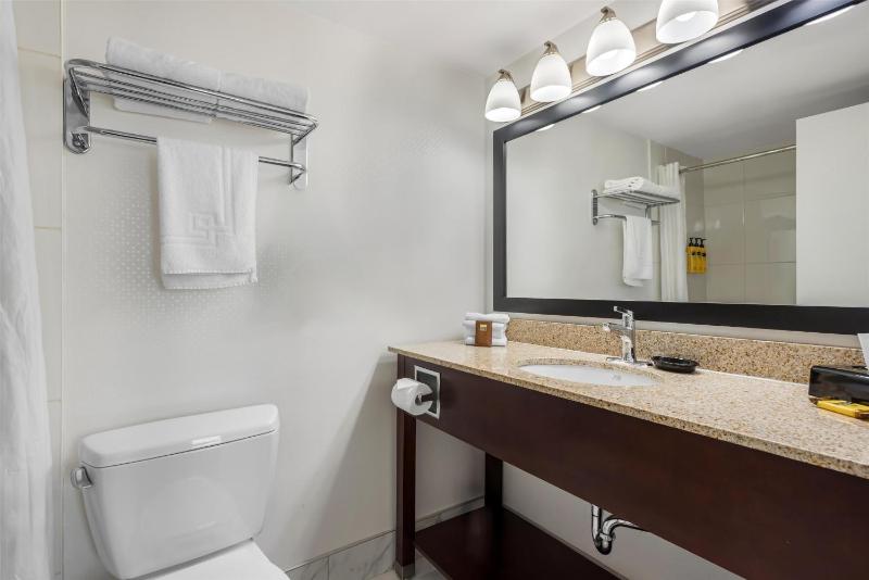 Best Western Plus Suites Downtown - image 7