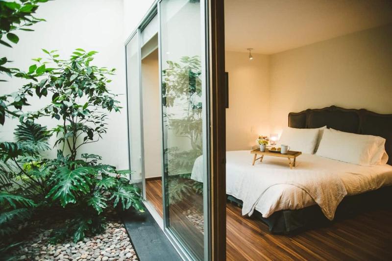 Polanco beautiful one-floor house with garden - image 7