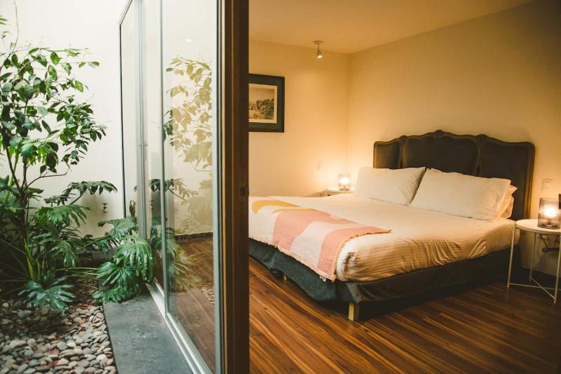 Polanco beautiful one-floor house with garden - image 12