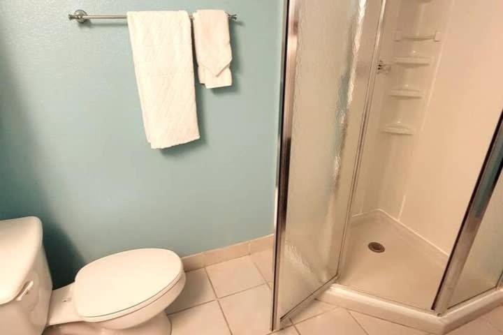 Renovated Beachfront Condo with 2 Pools Tons of Beds Bahia Mar #426 - image 15