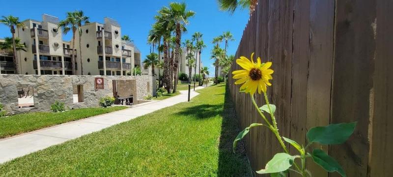 Renovated Beachfront Condo with 2 Pools Tons of Beds Bahia Mar #426 - image 48