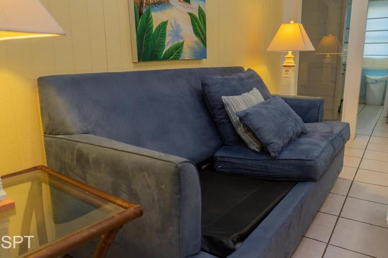 Caribbean Vibes House home - image 35