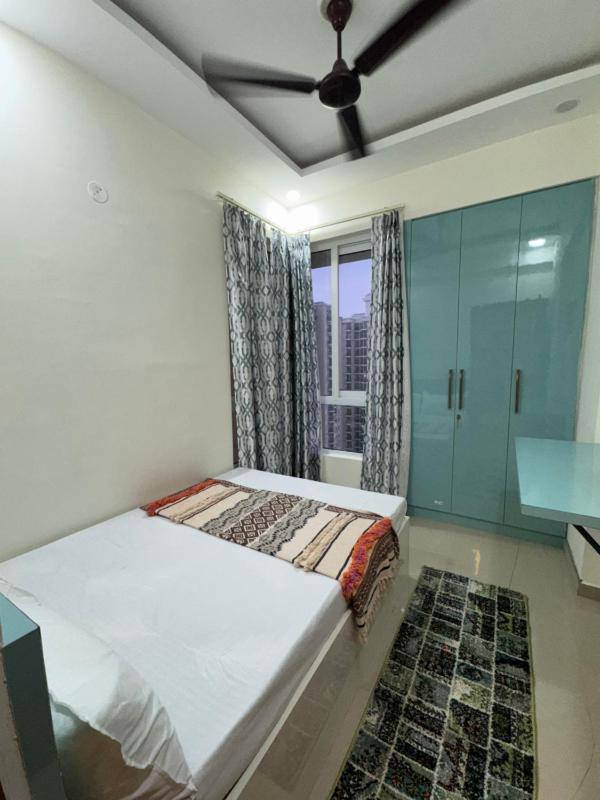 Hideaway Nest - image 11