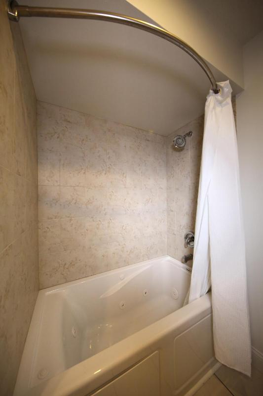 Two-Bedroom King Suite image 2