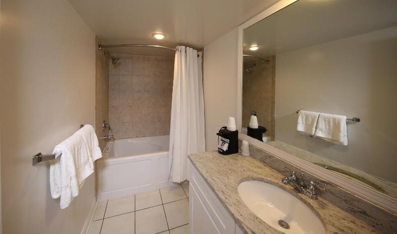Two-Bedroom King Suite image 4