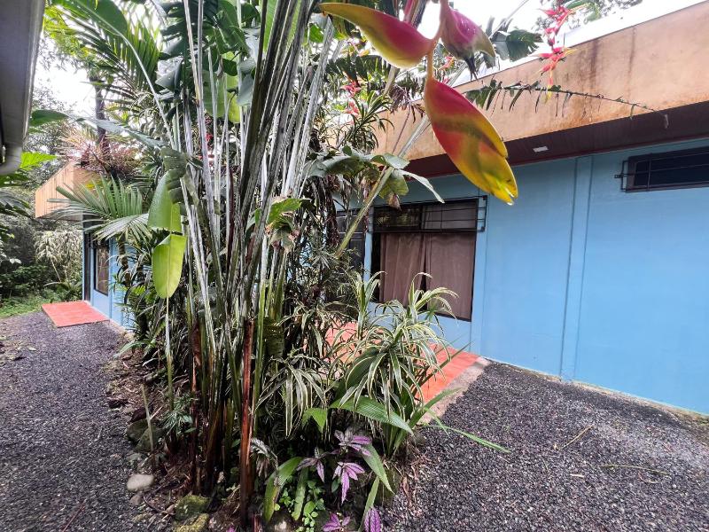 Hotel Rio Celeste to Know - image 13