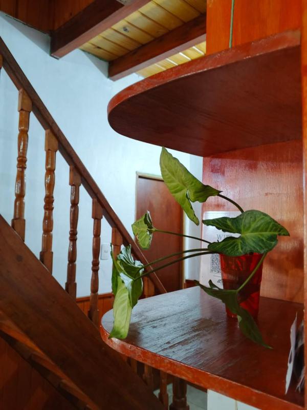 Ogaguazu Apart - image 7