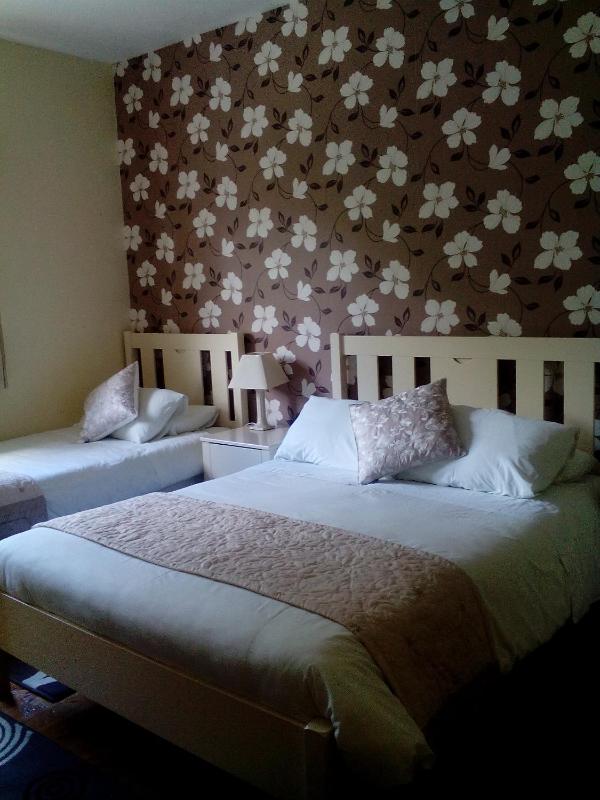 Double or Twin Room image 4