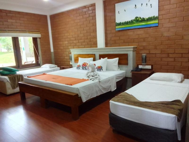 Elephas Nature Resort - image 14