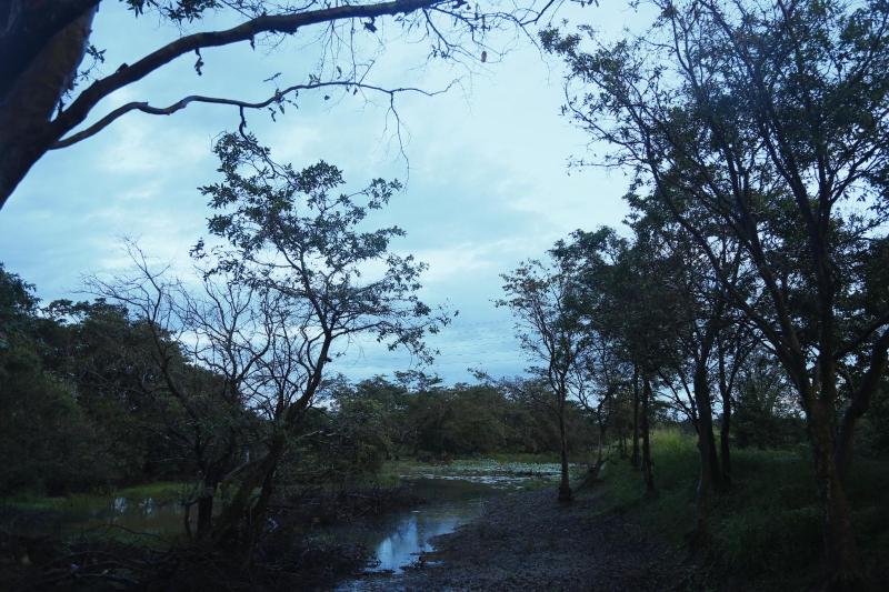Elephas Nature Resort - image 11