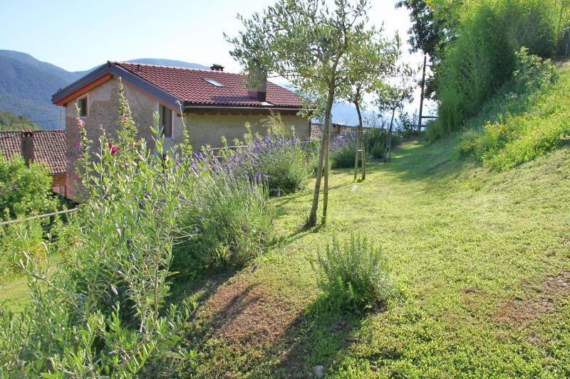 Duplex Apartment image 2