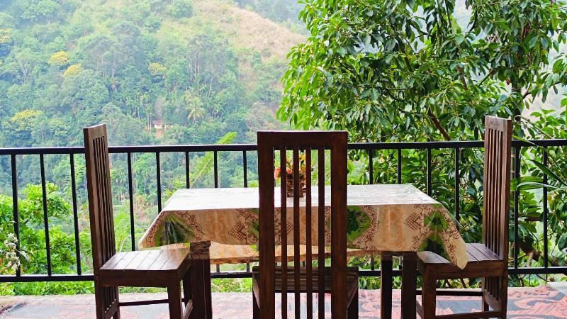 Mountain Manor Homestay - image 47