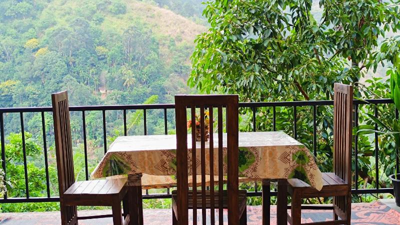 Mountain Manor Homestay - image 10