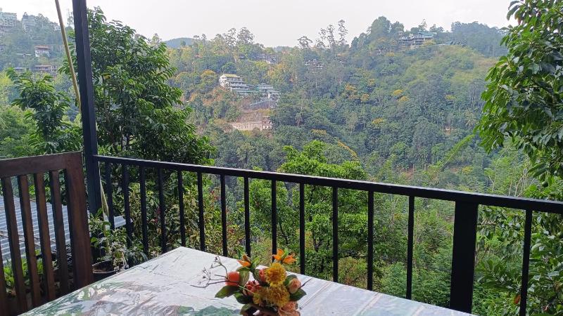 Mountain Manor Homestay - image 9