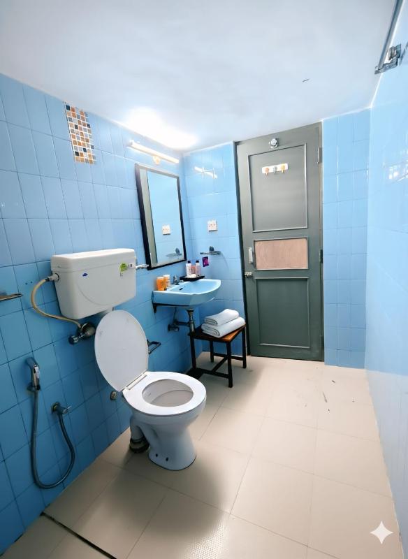 Shradha luxury room - image 29