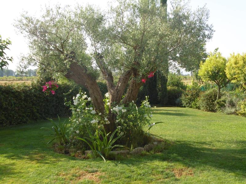 B&B La Gioiosa - image 42