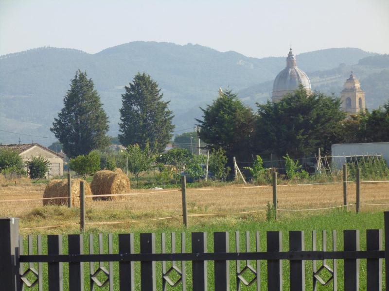B&B La Gioiosa - image 25