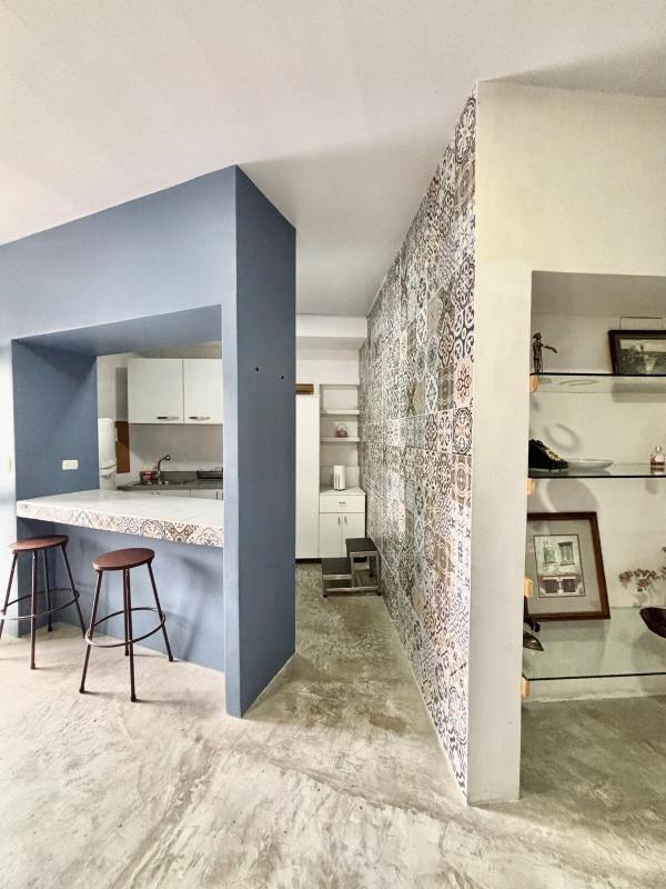 Los Yoses Loft - Ideal for Long Stays in San Jose - image 5