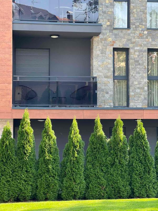 Pine & Peak Zlatibor Apartman - image 15
