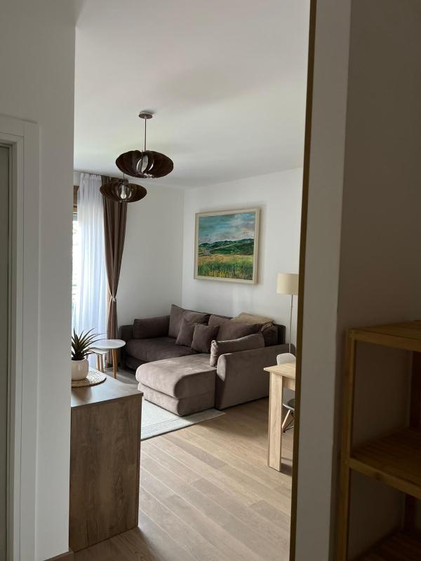Pine & Peak Zlatibor Apartman - image 1