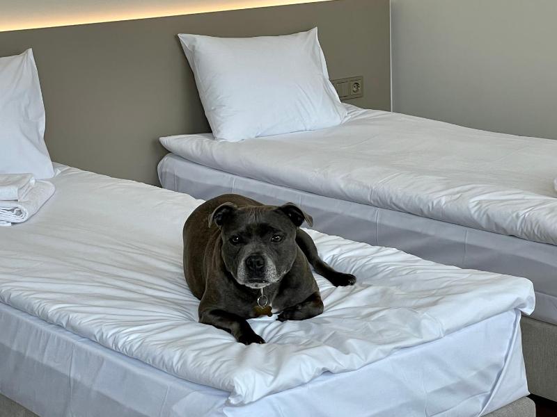 Aparthotel Aurum - image 12