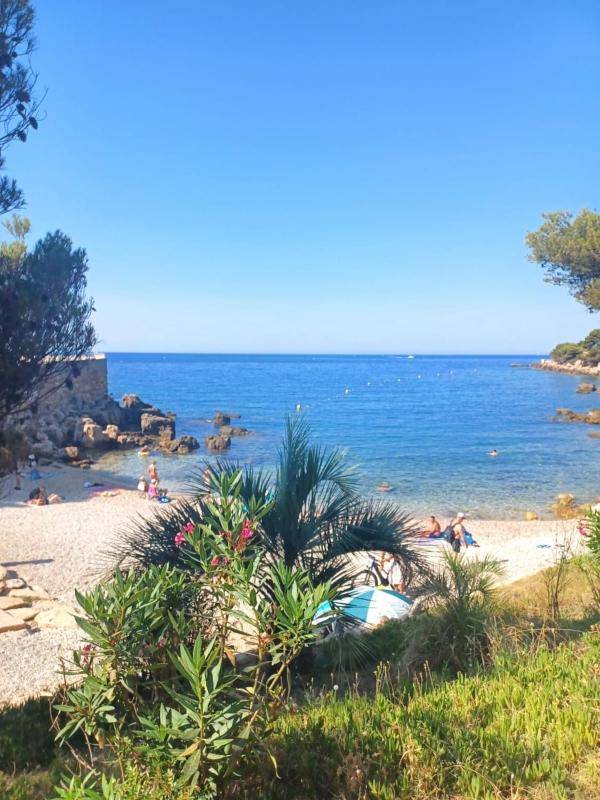 Nice apartment with pool - near the beach - image 28