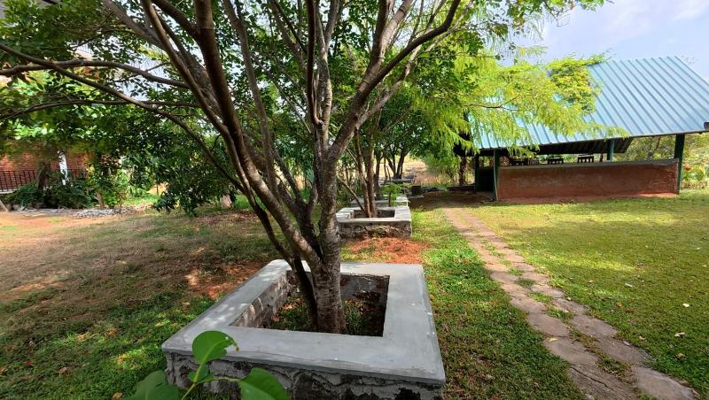 Meegahapokuna Resort - image 49