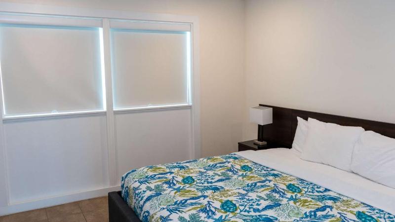 La Internacional 313 home - image 7