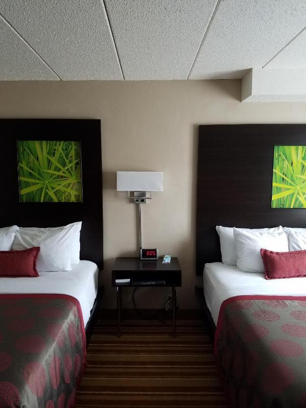 Queen Room with Two Queen Beds - Non-Smoking image 4