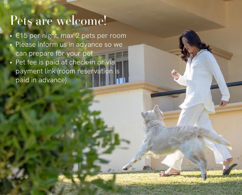 Elviria Hills Living - image 9
